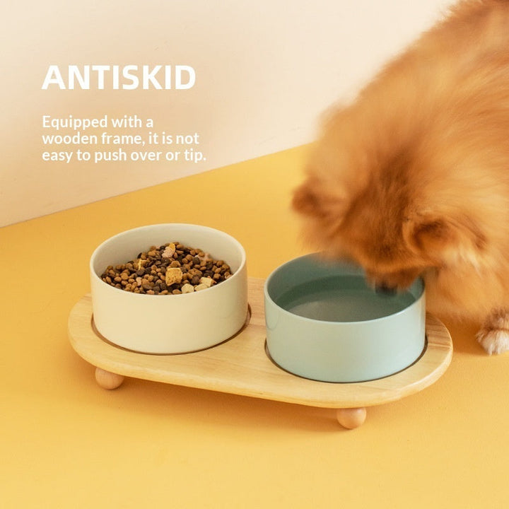 Discover the Perfect Ceramic Pet Food Bowl for Your Furry Friends