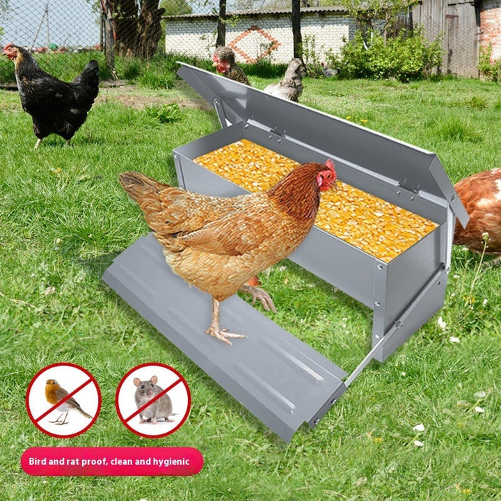 Revolutionize Your Poultry Feeding with the Automatic Pedal Chicken Feeder Trough