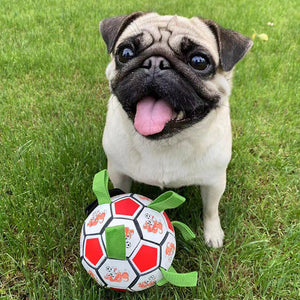 Durable Pet Football Chew Toy For Dental Molar Training