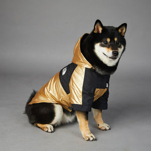 Keep Your Pup Dry with Our Large Dog Raincoat Pet Jacket