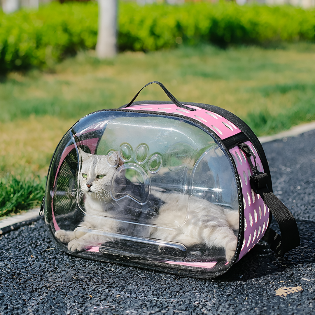Safe and Comfortable Pet Travel