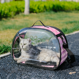 Safe and Comfortable Pet Travel