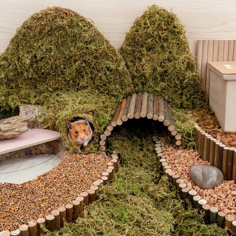 Oak Cork Dust Free Hamster Bedding Cage Landscaping Material