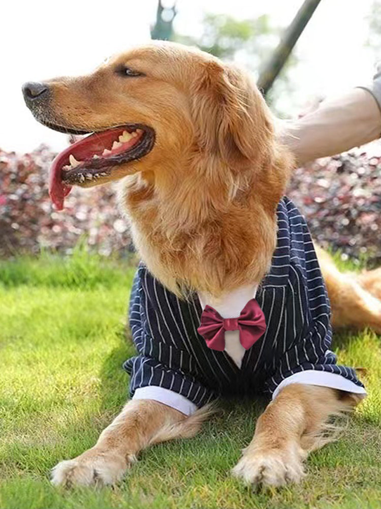 Warm Coat For Large Breed Pet Clothing