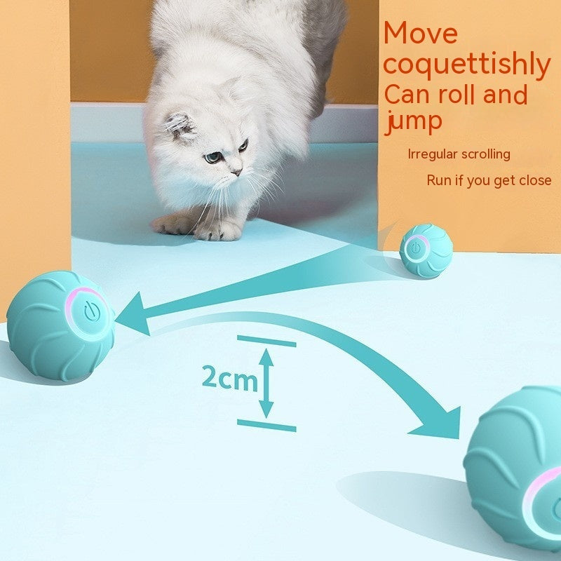 Smart Automatic Rolling Ball Pet Toy With USB Charging