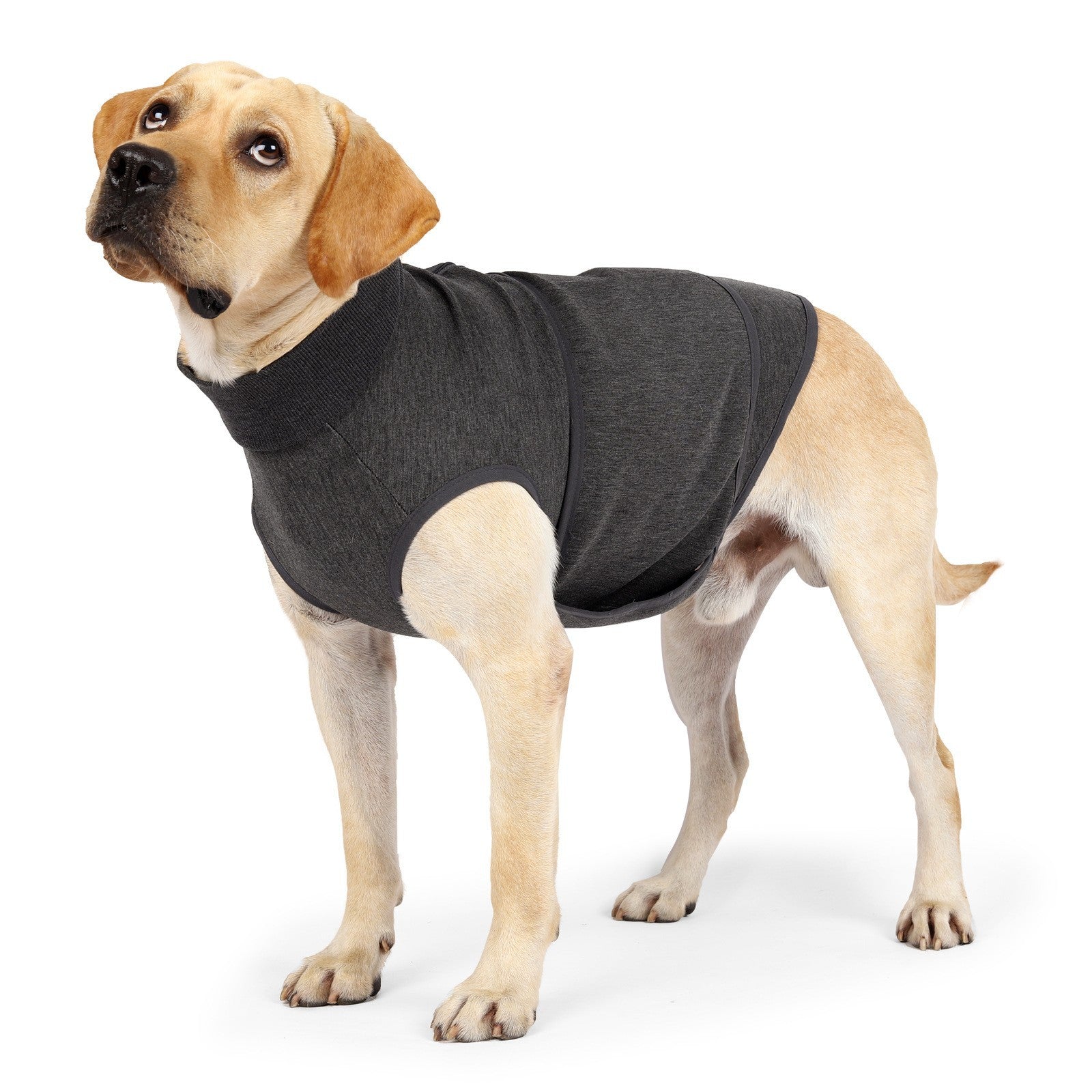 Soft Polyester Comfort Double Layer Pet Jacket Clothing