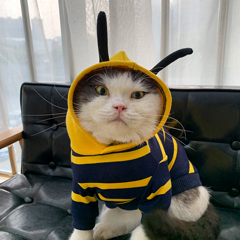 Winter Warm Plush Pet Coat Hoodie Costume Jacket Bee Style