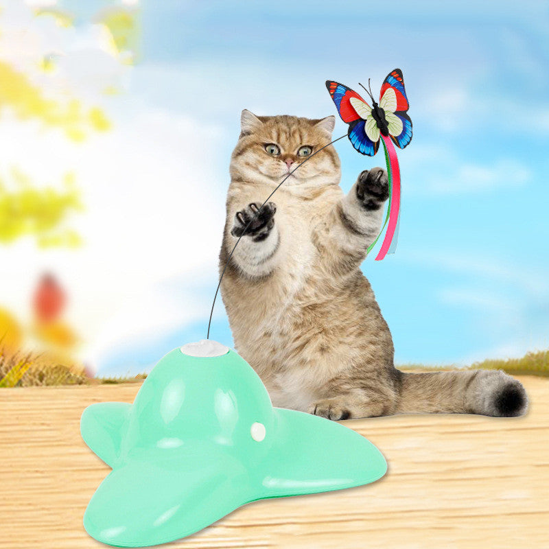 Educational Interactive Pet Training Toy
