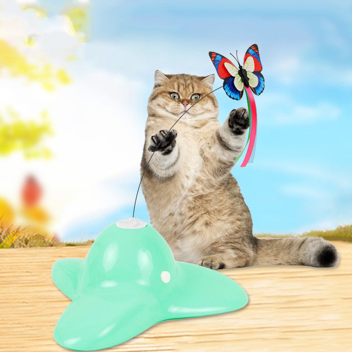 Educational Interactive Pet Training Toy