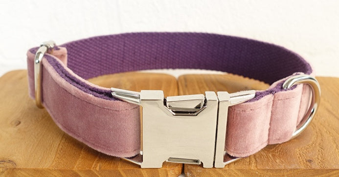 Pet Collar And Leash Set For Walking Control
