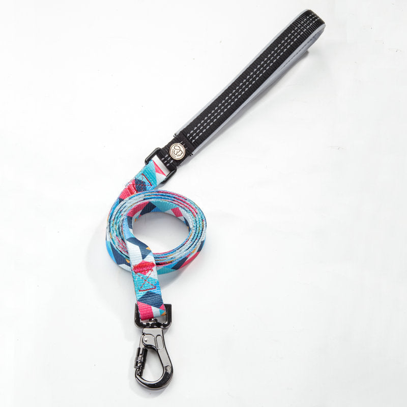Pet Durable Walking Leash Pet Supplies