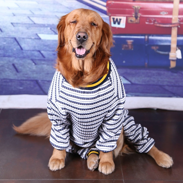 Comfortable Clothing For Medium And Large Pets