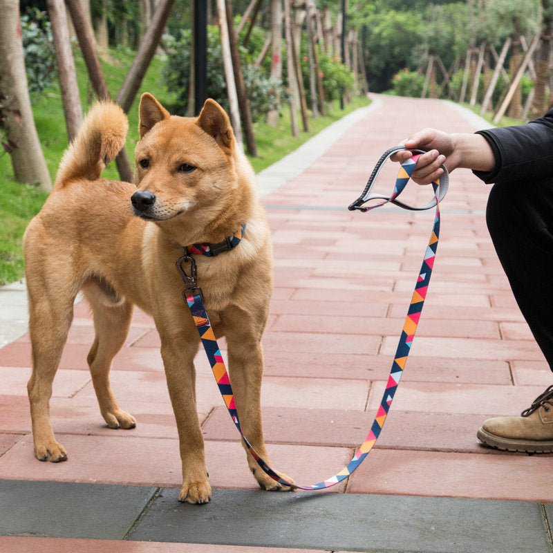 Pet Durable Walking Leash Pet Supplies