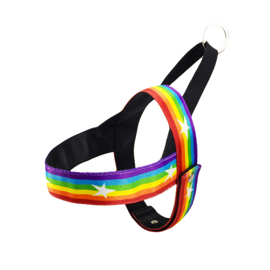 Rainbow Color Pet Chain Leash