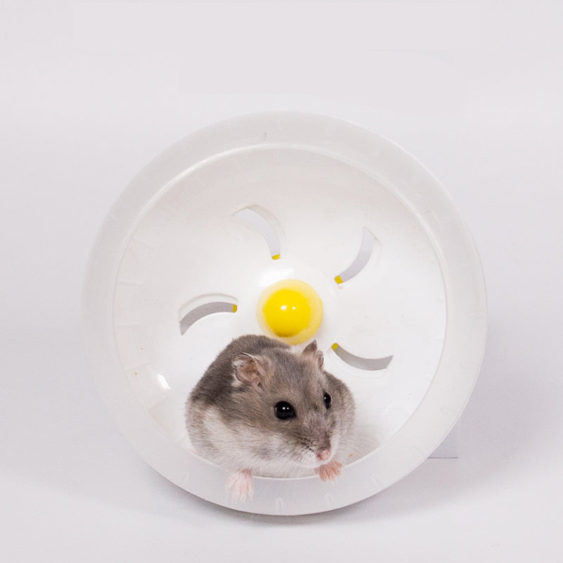 Large Hamster Running Wheel Golden Bear Sports Ball Cage Runner