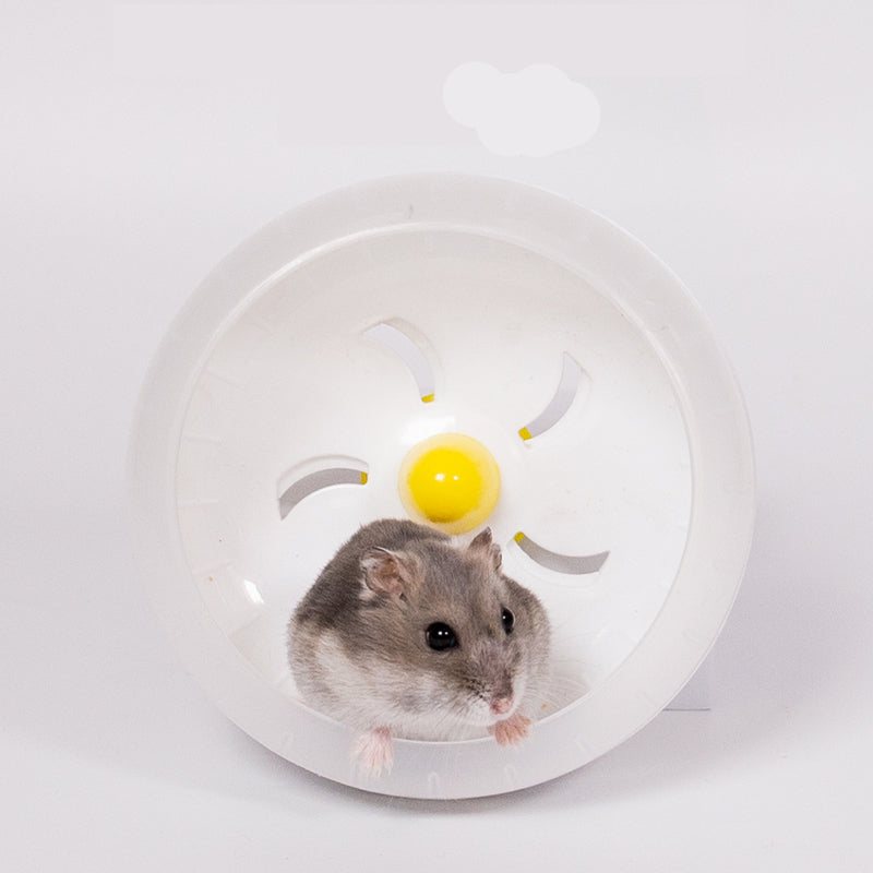Large Hamster Running Wheel Golden Bear Sports Ball Cage Runner