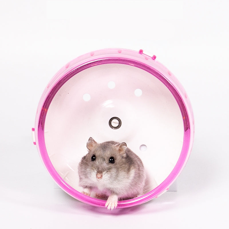 Large Hamster Running Wheel Golden Bear Sports Ball Cage Runner