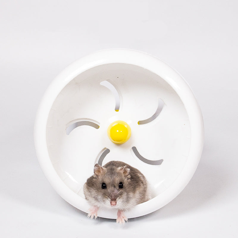 Large Hamster Running Wheel Golden Bear Sports Ball Cage Runner