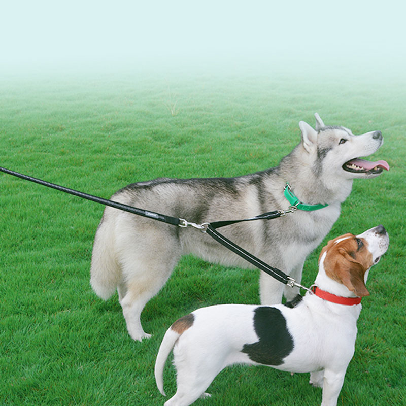 Double Headed Reflective Nylon Pet Leash For Two Pets
