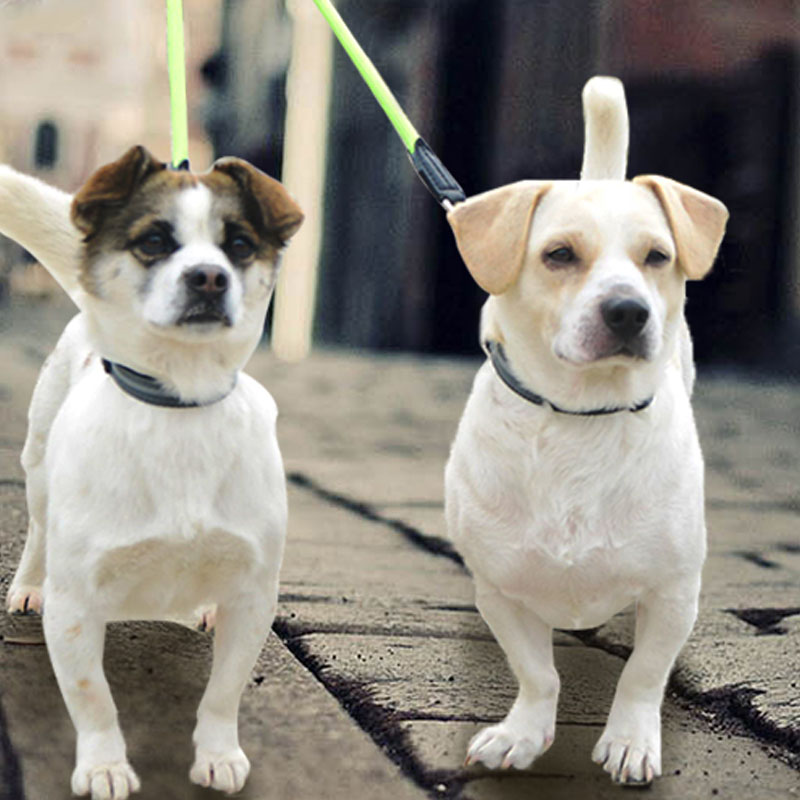 Double Headed Reflective Nylon Pet Leash For Two Pets