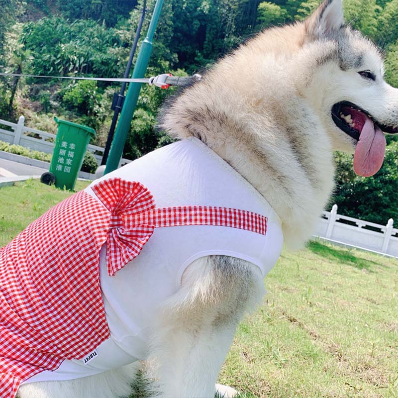 Princess Style Large Breed Pet Costume Outfit
