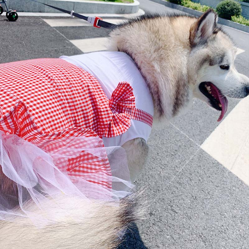 Princess Style Large Breed Pet Costume Outfit