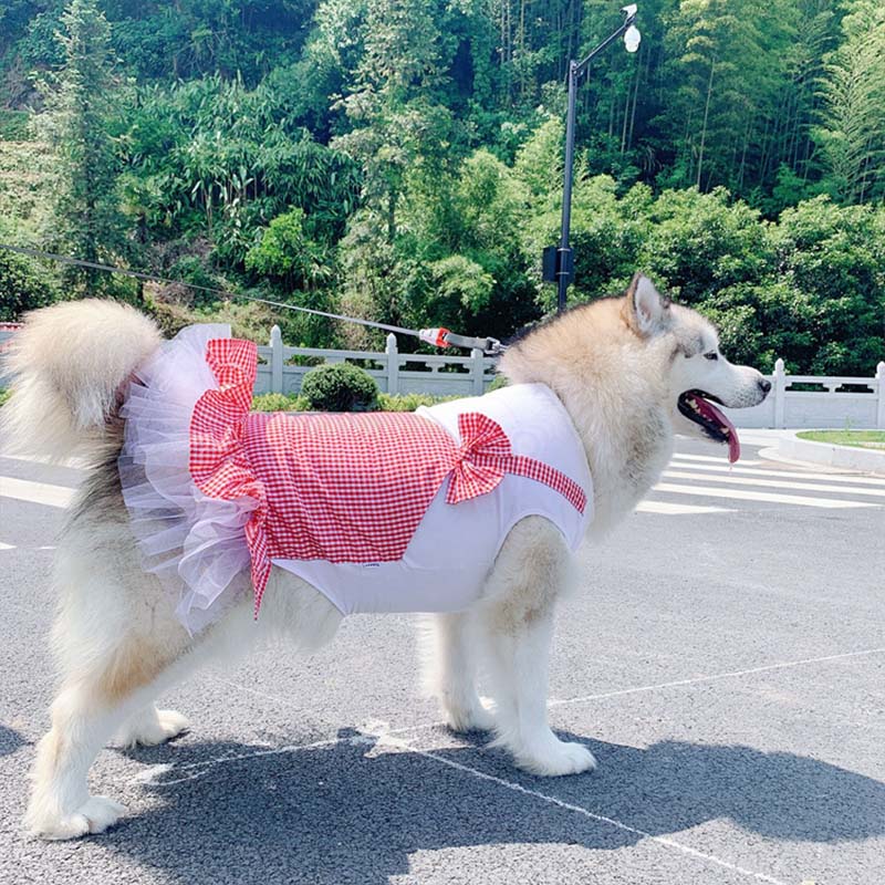 Princess Style Large Breed Pet Costume Outfit