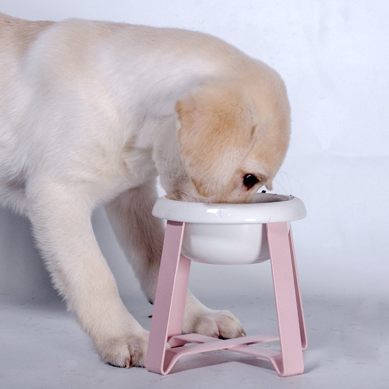 Anti Slip Double Bowl Pet Feeder With Iron Stand