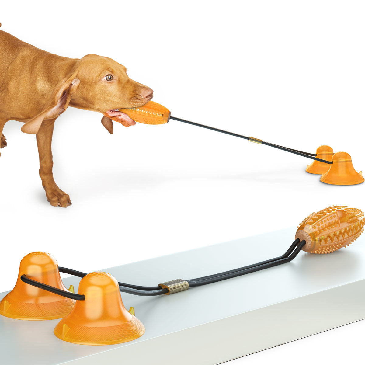 Multifunction Double Tug Rope Ball Pet Toy Sucker Bite Resistant