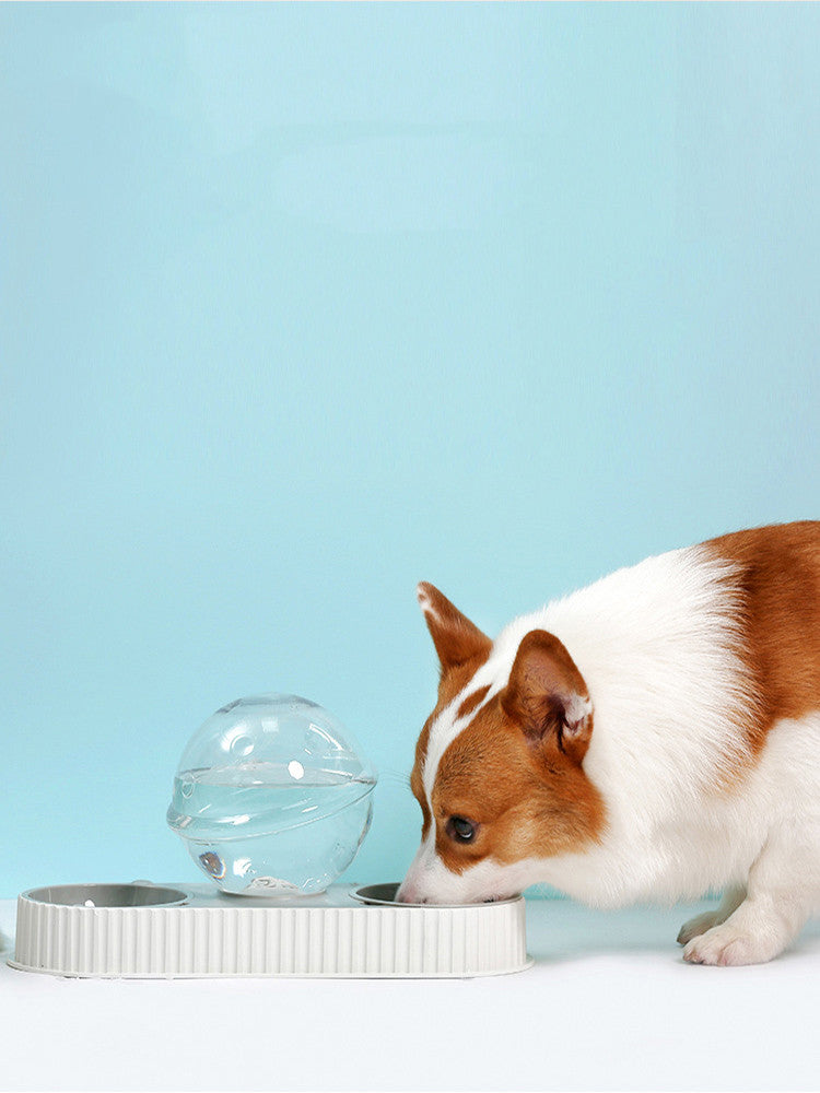 Automatic Plastic Pet Feeding Water Bowl Dispenser