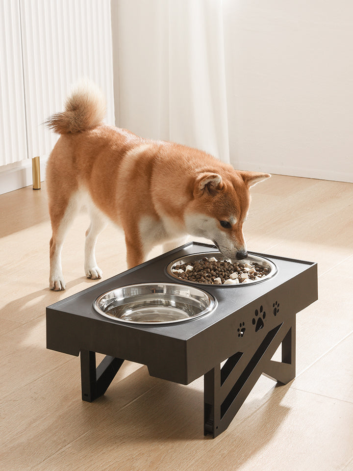 Folding Stainless Steel Pet Feeding Bowl