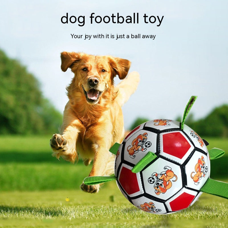 Durable Pet Football Chew Toy For Dental Molar Training