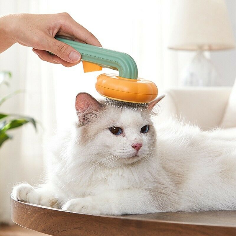 Pet Pumpkin Self Cleaning Grooming Slicker Brush Hair Removal Tool