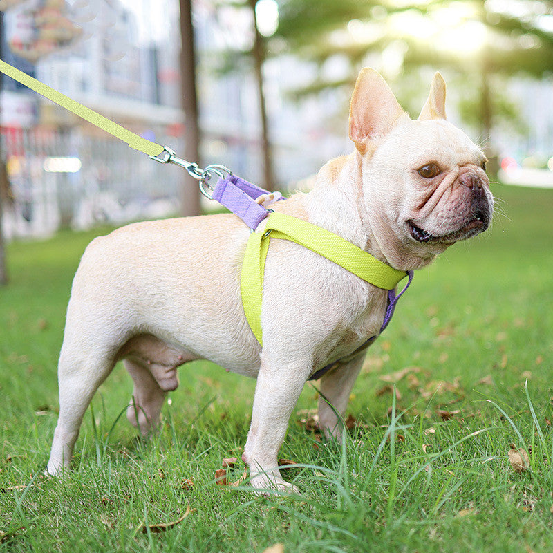 Color Pet Drawstring Vest Style Leash Harness For Control