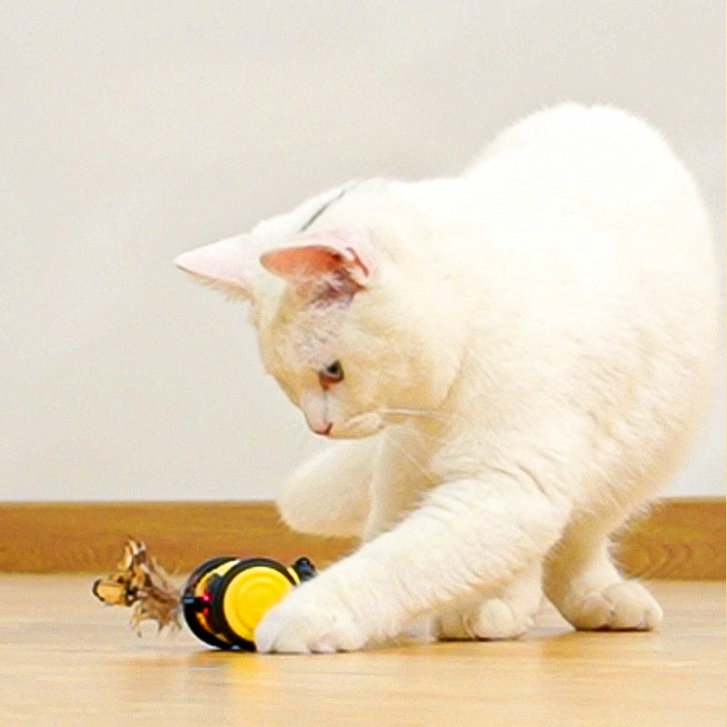 Electric Cute Bee Moving Interactive Pet Teaser Toy