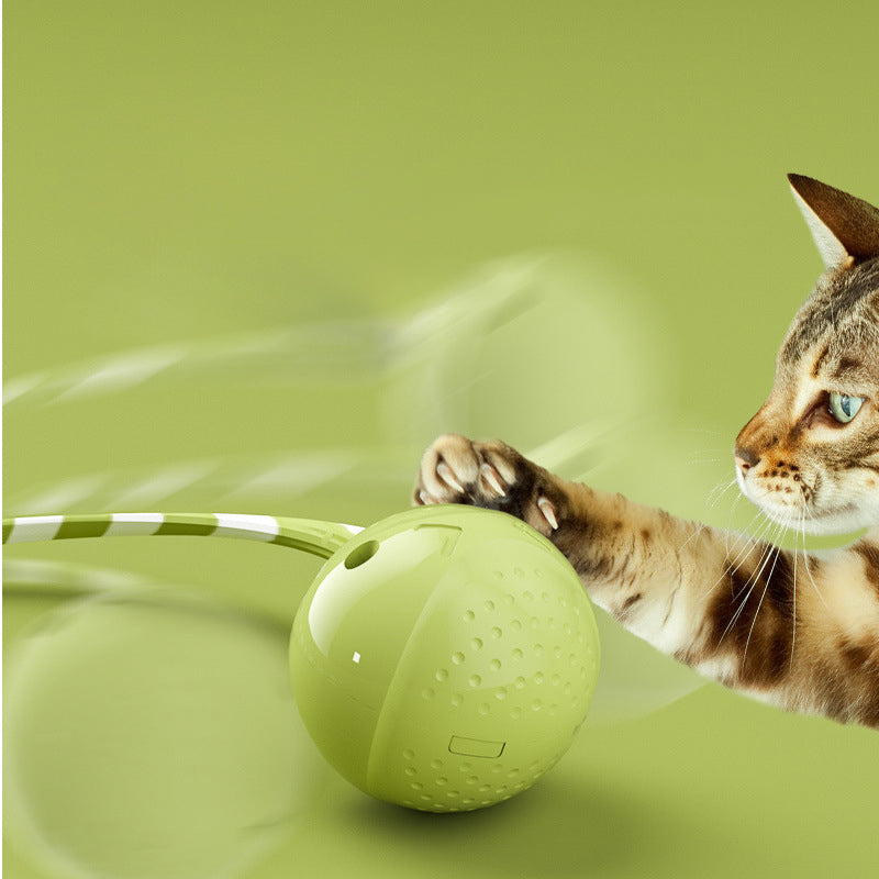 Interactive Electric Motion Activated Pet Ball Toy