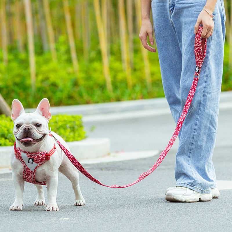 Automatic Retractable Pet Rope Leash For Walking Control