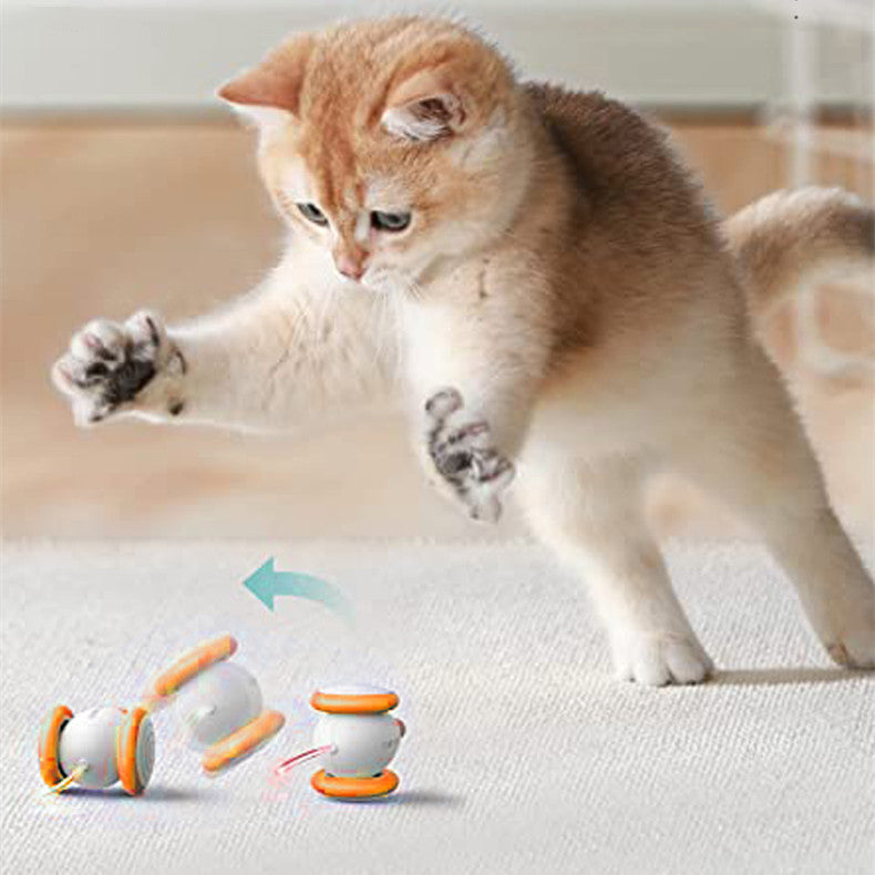 Electric Intelligent Teasing Interactive Rechargeable Pet Toy