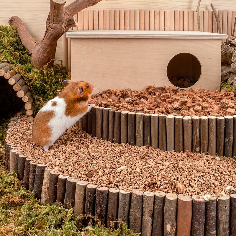 Oak Cork Dust Free Hamster Bedding Cage Landscaping Material