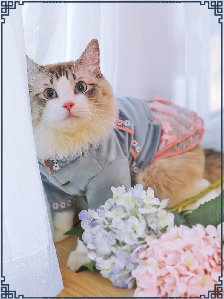 Comfortable Clothing For Small Pet Apparel