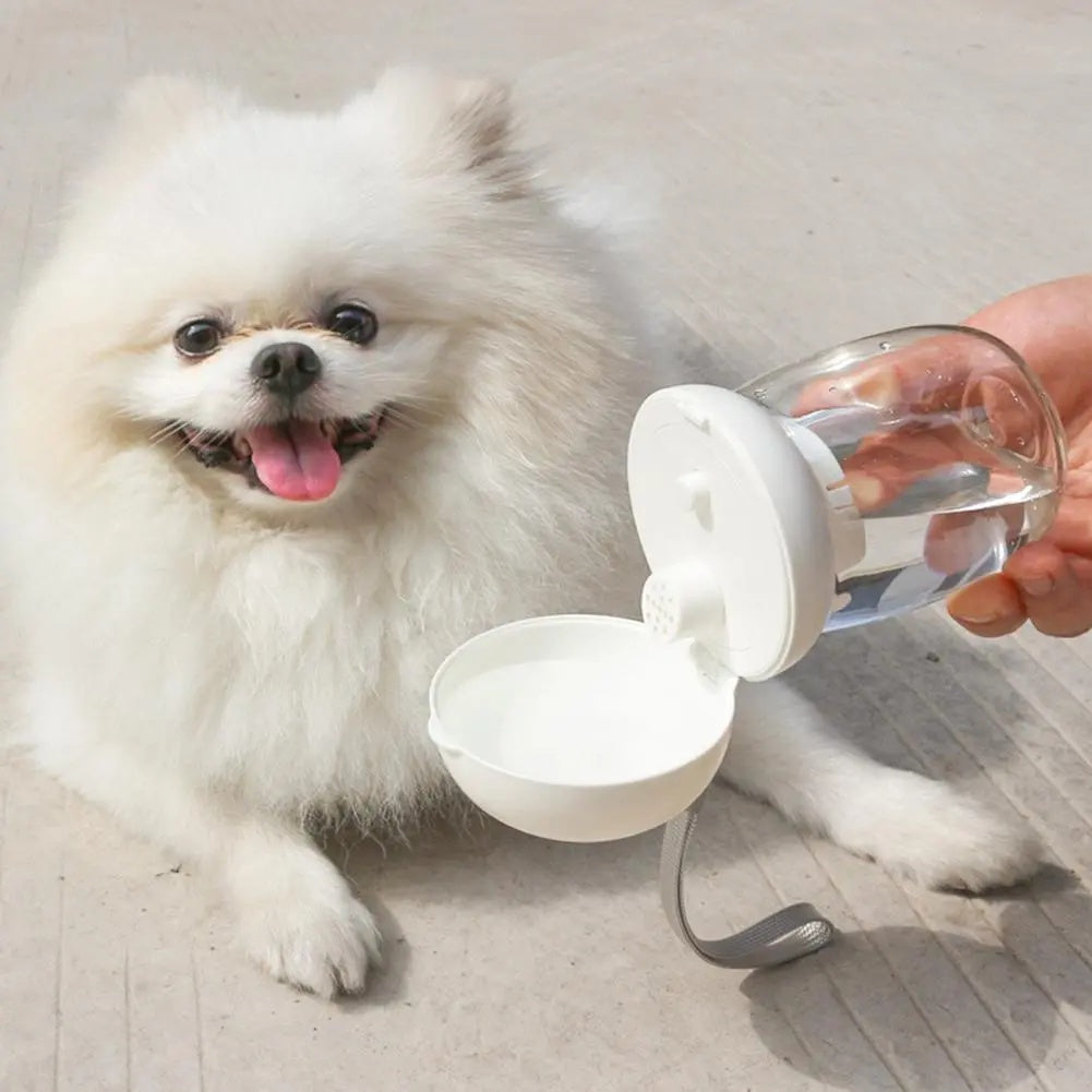 Portable Pet Water Bottle With Bowl And Lanyard Travel Cup
