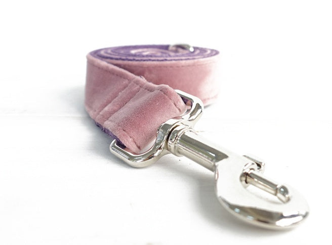 Pet Collar And Leash Set For Walking Control