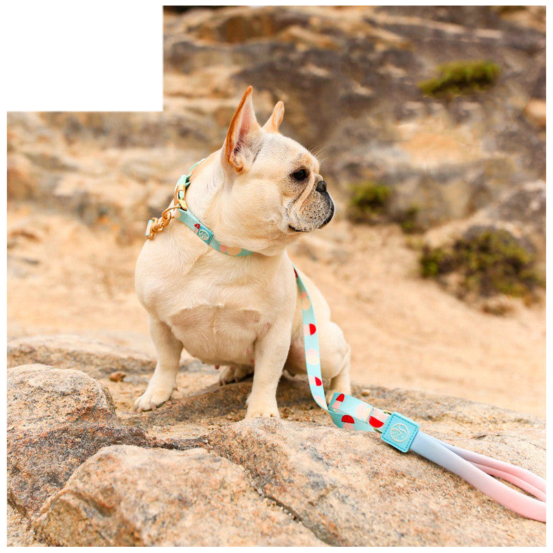 Fashion Y Shaped Pet Chest Strap Leash Harness Control