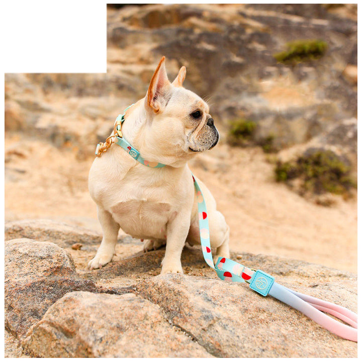 Fashion Y Shaped Pet Chest Strap Leash Harness Control