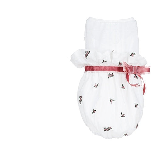 Comfortable Clothing For Small Pet Apparel