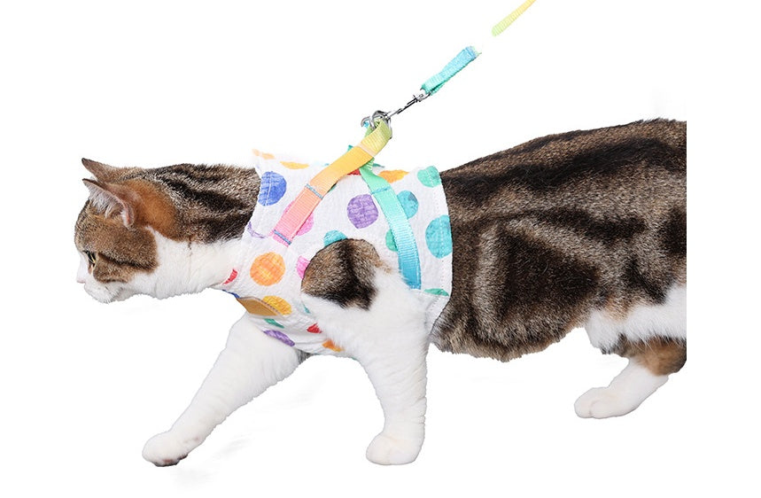 Chest Harness Pet Leash For Small And Medium Pets