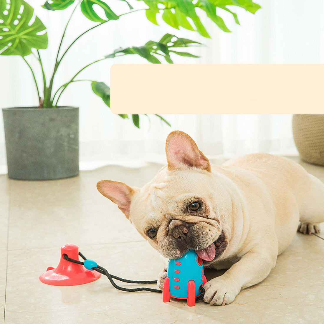 Rocket Shaped Pet Toy With Treat Dispensing Durable Design