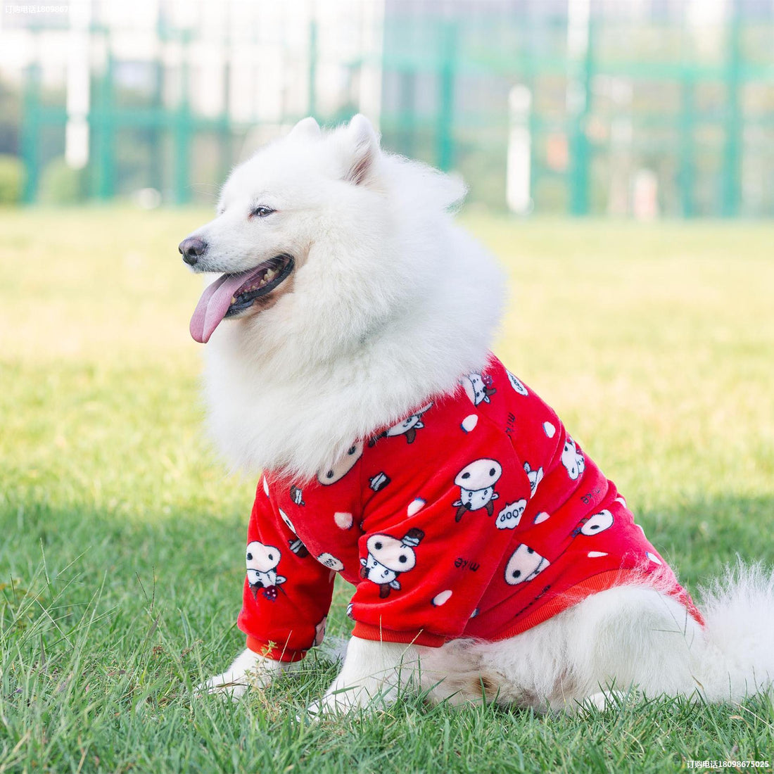 Fashion Pet Transformation Costume Outfit
