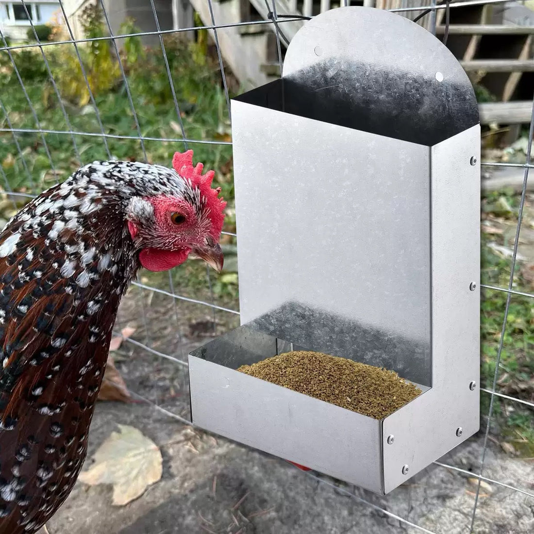 Metal Poultry Bird Feeder Trough