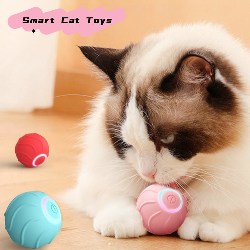 Smart Automatic Rolling Ball Pet Toy With USB Charging